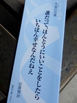 P6170002 (600x800).jpg