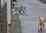P6190023 (800x576).jpg