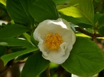 P6230002 (800x600).jpg