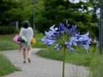 P6240053 (800x600).jpg