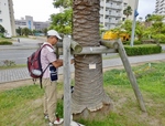 P6240057 (800x609).jpg