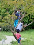 P6240067 (600x800).jpg
