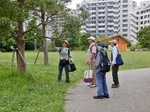 P6240080 (800x600).jpg