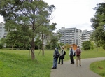 P6240081 (800x590).jpg