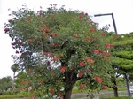 P6240122 (800x600).jpg