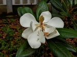 P6260012 (800x600).jpg