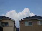 P6260032 (800x586).jpg