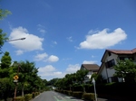 P6290123 (800x598).jpg