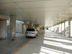 P6290134 (800x598).jpg