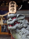 P7010006 (600x800).jpg