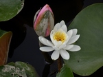 P7010012 (800x600).jpg