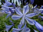 P7010115 (800x600).jpg