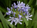 P7010180 (800x600).jpg