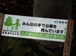 P7010181 (800x600).jpg