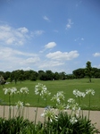 P7010218 (600x800).jpg