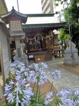 P7020004 (600x800).jpg