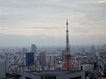 P7030013 (800x600).jpg