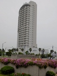 P7030058 (606x800).jpg