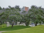 P7030061 (800x600).jpg
