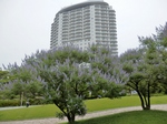 P7030069 (800x600).jpg