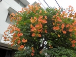 P7030112 (800x600).jpg