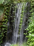P7050257 (600x800).jpg