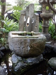 P7090181 (600x800).jpg