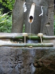 P7090182 (600x800).jpg