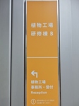 P7170012 (599x800).jpg