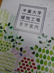 P7170020 (600x800).jpg