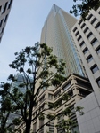 P7230081 (600x800).jpg
