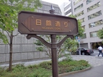 P7230082 (800x600).jpg