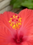 P7280187 (600x800).jpg