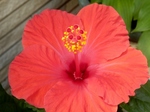 P7280191 (800x600).jpg