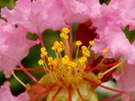 P7300045 (800x600) (2).jpg