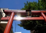 P8050023 (800x579).jpg