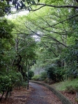 P8180192 (600x800).jpg