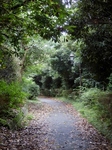 P8180194 (600x800).jpg