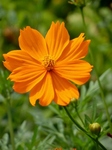 P8210084 (600x800).jpg