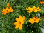 P8210089 (800x600).jpg