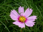 P8210138 (800x600).jpg