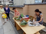 P8230185 (800x600).jpg