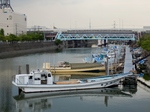P8240029 (800x600).jpg