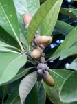 P9010175 (600x800).jpg