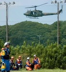 P9060080 (735x800).jpg