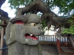 P9070224 (800x600).jpg