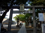 P9070228 (800x600).jpg