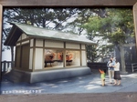 P9070229 (800x600).jpg