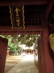 P9100022 (600x800).jpg