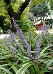 P9100024 (600x800).jpg